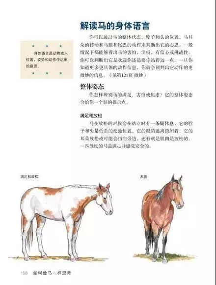 探索2017最新版马书资料，全面解读与深度应用