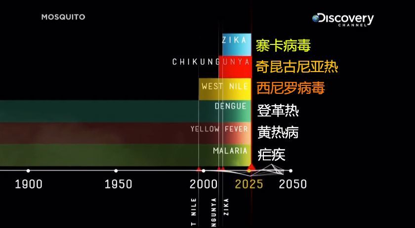 泰国寨卡病毒最新消息，全面应对与全球合作