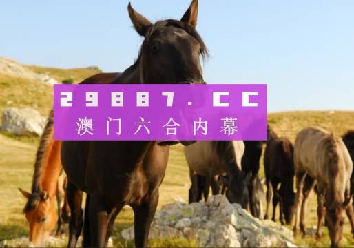 2023澳门管家婆资料正版大全,富强解释解析落实