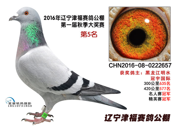 辽宁津福公棚最新公告详解